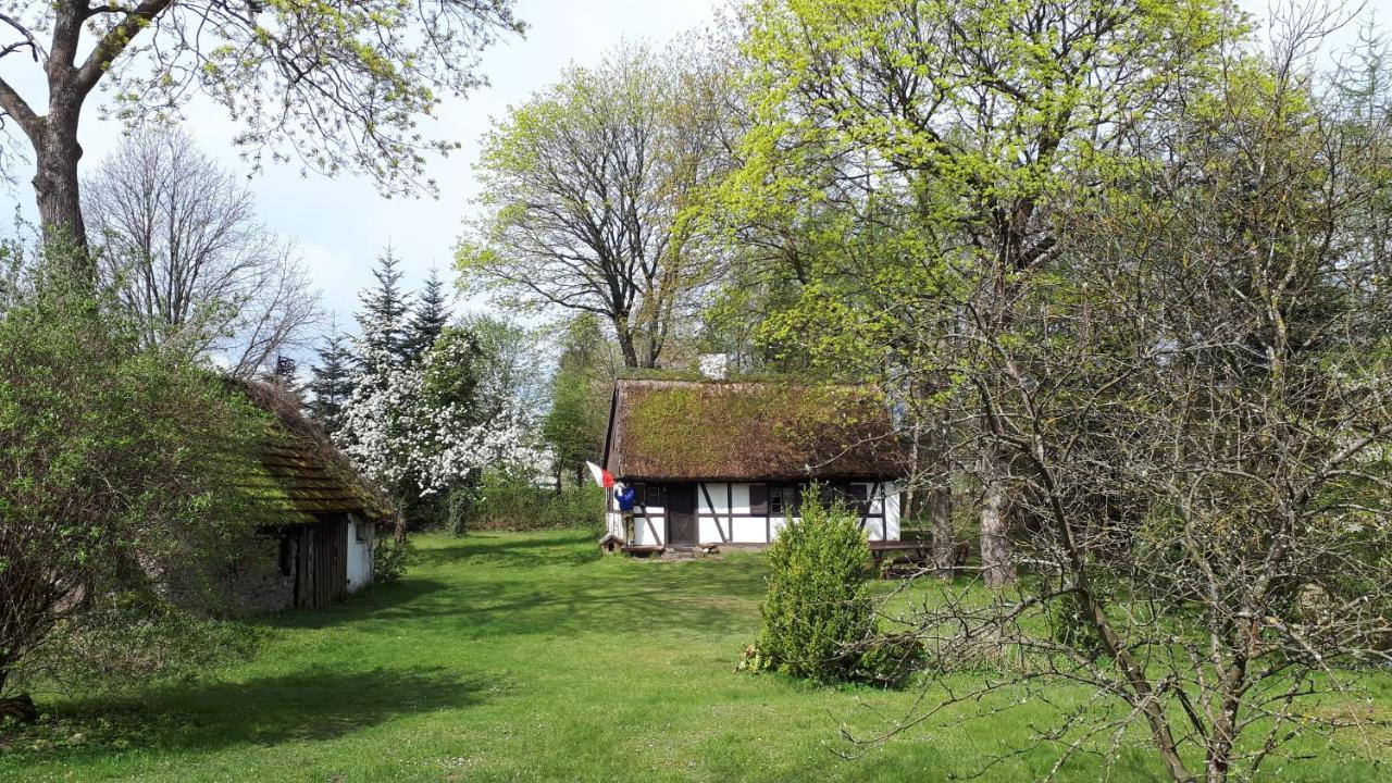 Villa Malanka - Kaszubska Checz à Strzepcz Extérieur photo